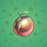 Precious Peach #2142