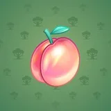 Precious Peach #2214