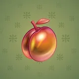 Precious Peach #2446
