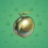Precious Peach #2498