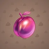 Precious Peach #251