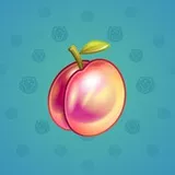 Precious Peach #2567