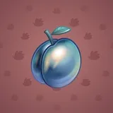 Precious Peach #2691