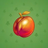 Precious Peach #270