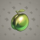 Precious Peach #316