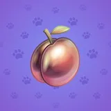 Precious Peach #42