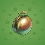 Precious Peach #552