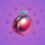 Precious Peach #559