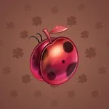 Precious Peach #626 Precious Peach #626