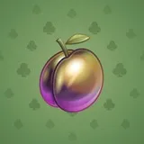 Precious Peach #650