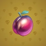 Precious Peach #694