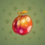 Precious Peach #781