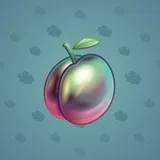 Precious Peach #790