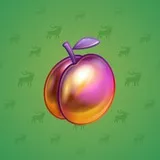 Precious Peach #858
