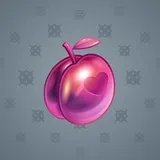 Precious Peach #865