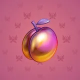 Precious Peach #884 Precious Peach #884