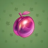Precious Peach #973 Precious Peach #973