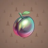 Precious Peach #978