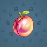Precious Peach #997