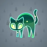 Scared Cat #10213 Scared Cat #10213