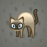 Scared Cat #10384