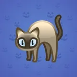 Scared Cat #1048
