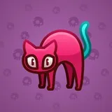 Scared Cat #10593 Scared Cat #10593