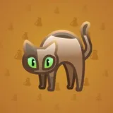 Scared Cat #10822