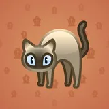 Scared Cat #10974 Scared Cat #10974