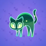 Scared Cat #11265 Scared Cat #11265