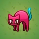 Scared Cat #11464