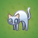 Scared Cat #11689