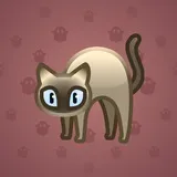 Scared Cat #1205 Scared Cat #1205