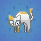 Scared Cat #12337 Scared Cat #12337