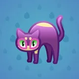 Scared Cat #12621 Scared Cat #12621