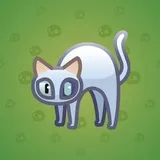 Scared Cat #12835