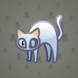 Scared Cat #12916 Scared Cat #12916