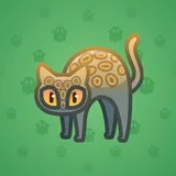 Scared Cat #13405