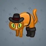Scared Cat #13438 Scared Cat #13438