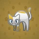 Scared Cat #13501 Scared Cat #13501