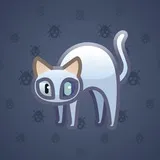 Scared Cat #13605 Scared Cat #13605