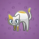 Scared Cat #13928 Scared Cat #13928