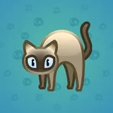Scared Cat #14032