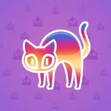Scared Cat #14539
