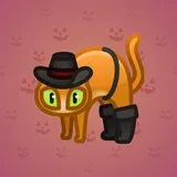 Scared Cat #15214