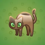 Scared Cat #15257