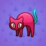 Scared Cat #15656 Scared Cat #15656