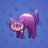Scared Cat #15893