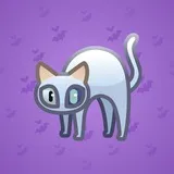 Scared Cat #16493