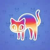 Scared Cat #16562 Scared Cat #16562